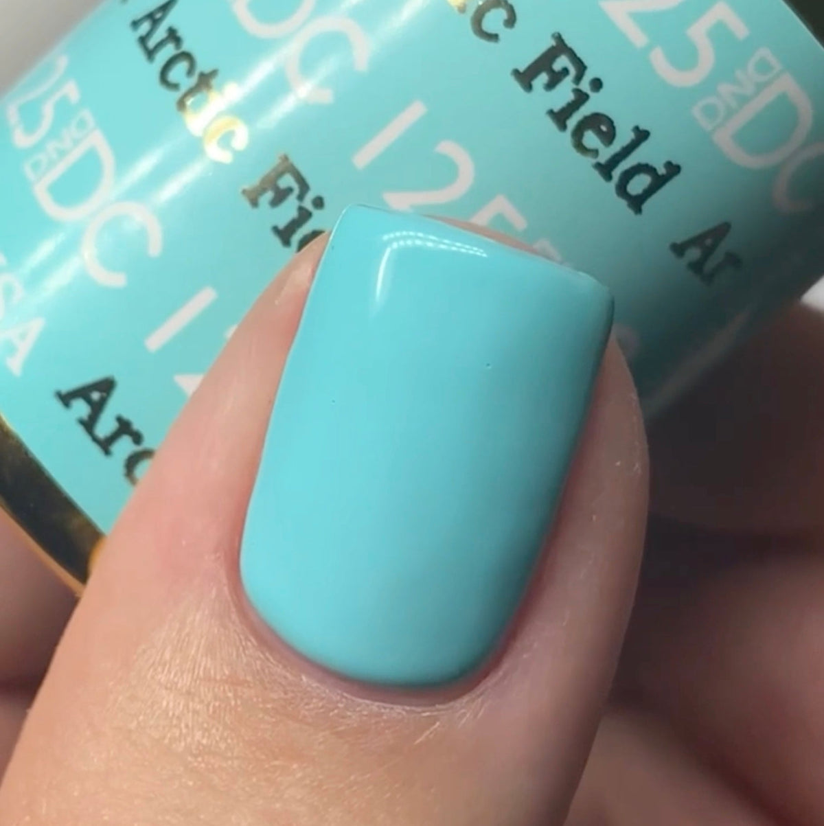 DC125 - Arctic Field - GEL POLISH & MATCHING LACQUER