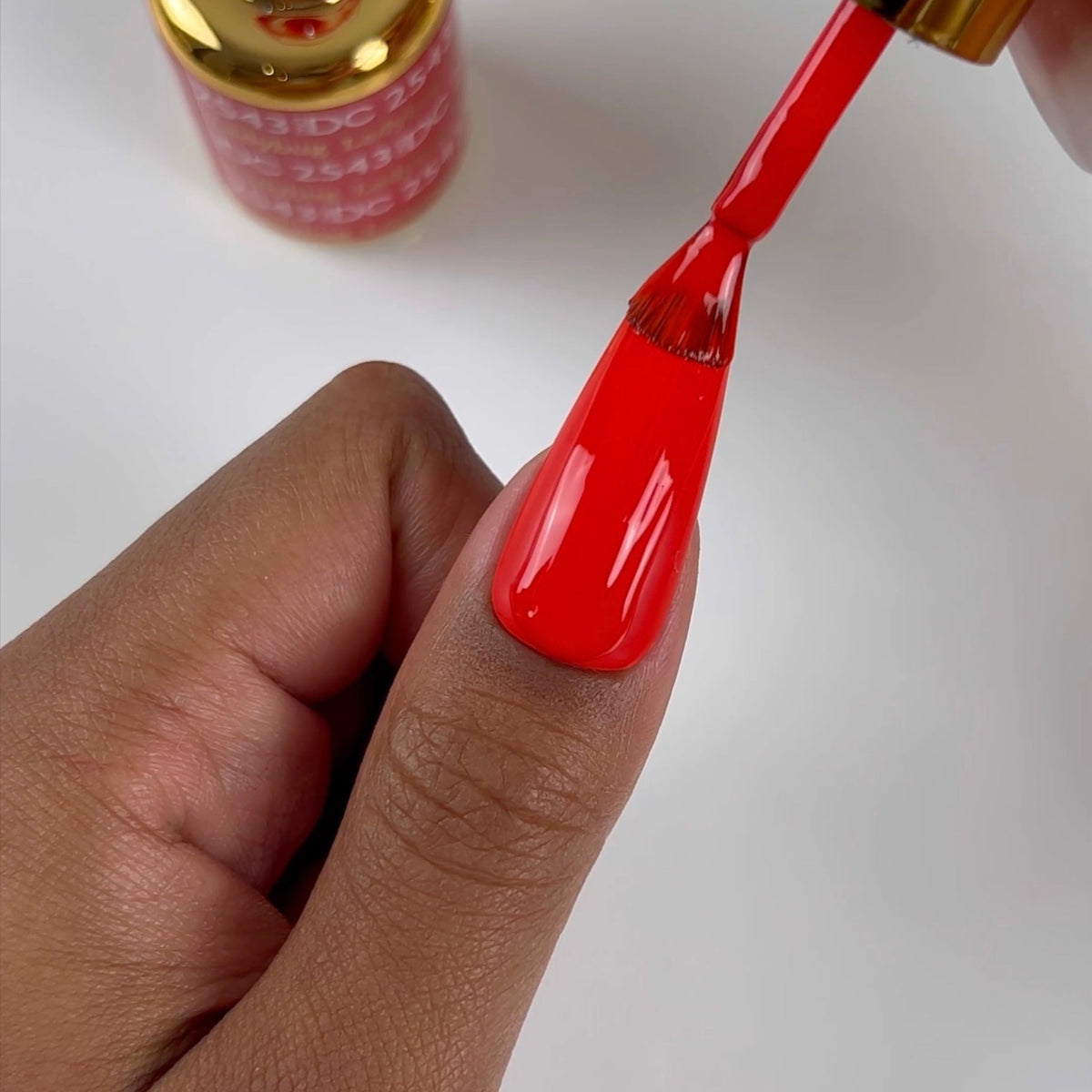 DC2543 - Ladybug - GEL POLISH & MATCHING LACQUER