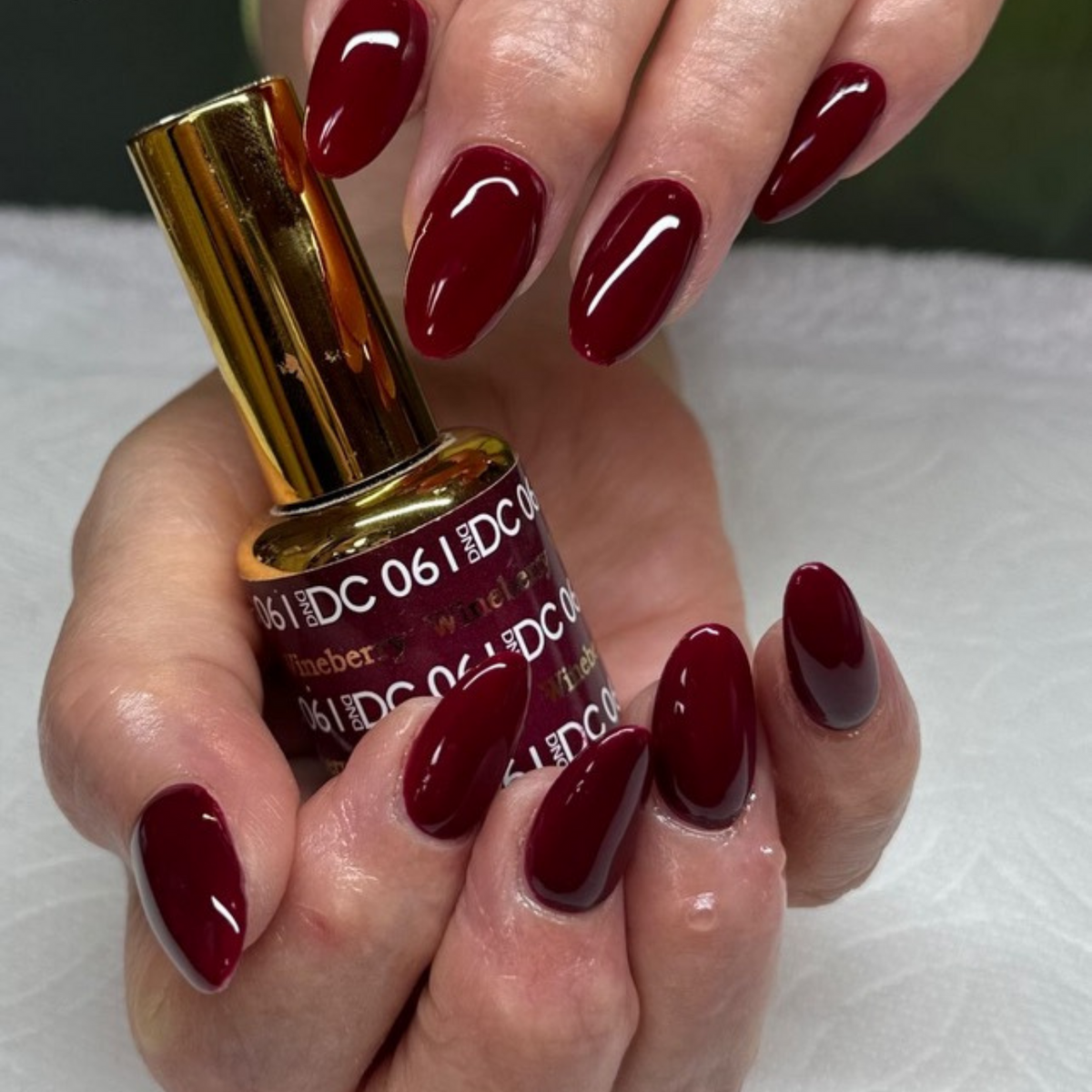 DC061 - Wineberry - GEL POLISH & MATCHING LACQUER