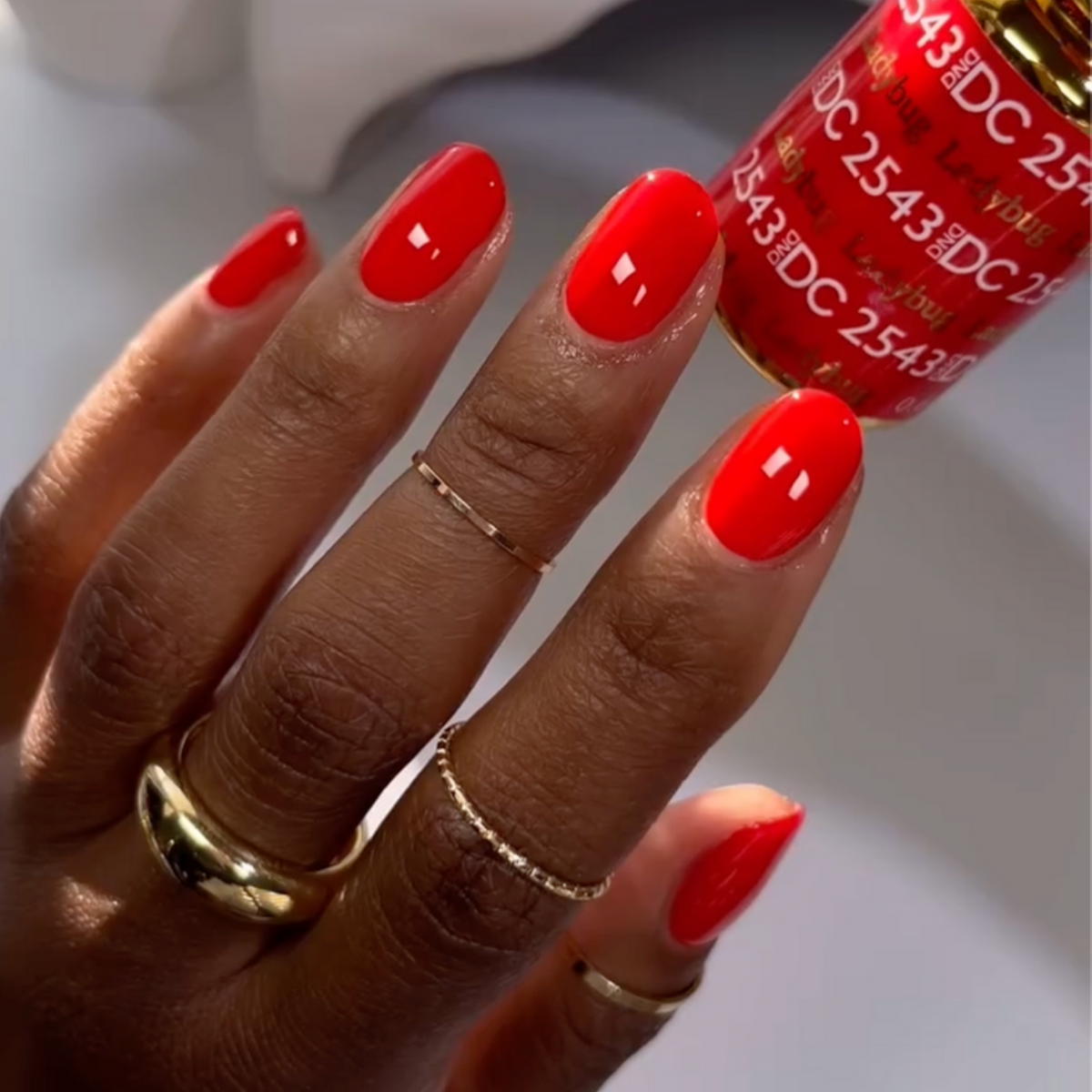 DC2543 - Ladybug - GEL POLISH & MATCHING LACQUER