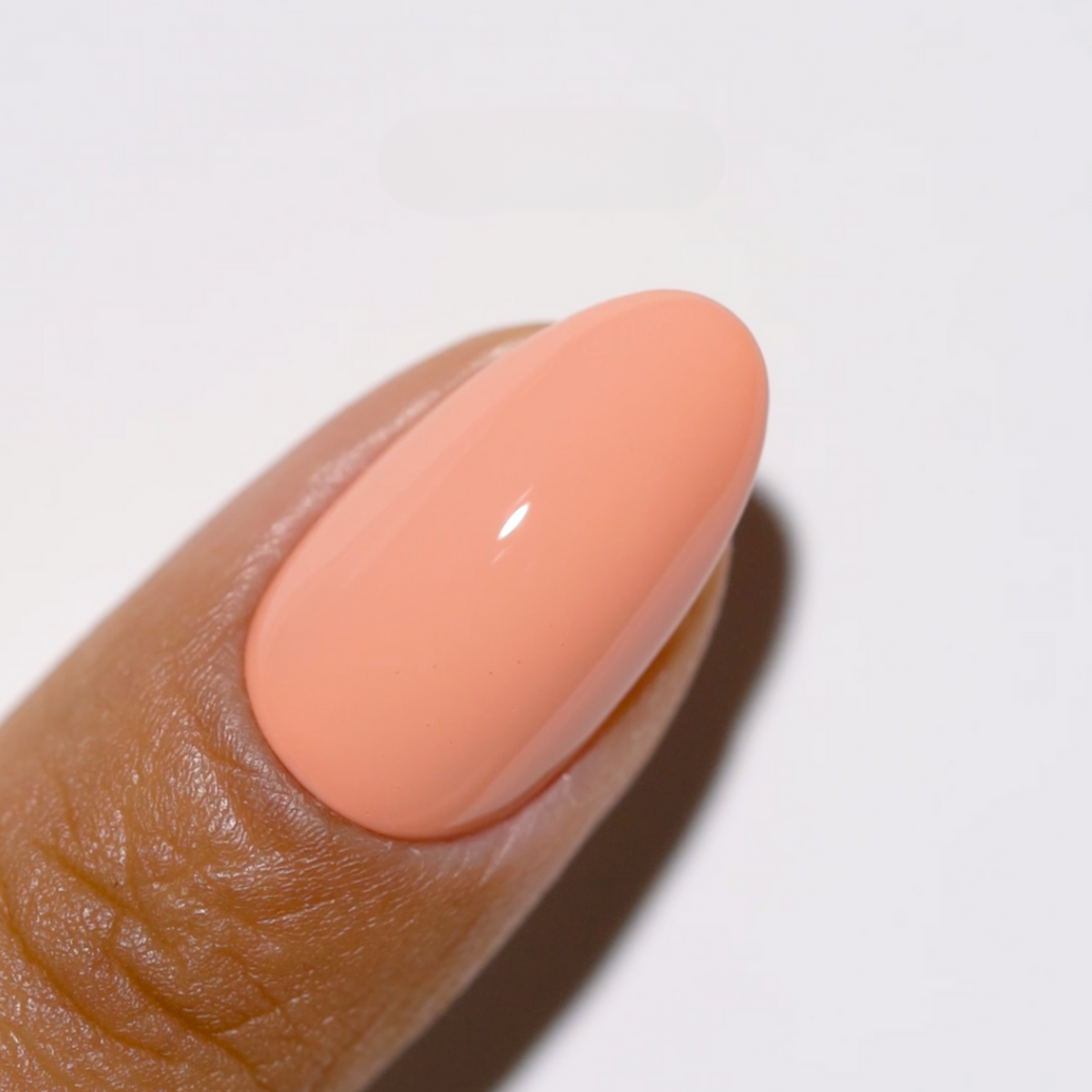 DC305 - Bon Appetit - GEL POLISH & MATCHING LACQUER