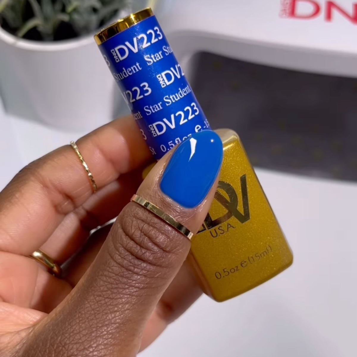 DIVA223 - Star Student DIVA - GEL POLISH & MATCHING LACQUER