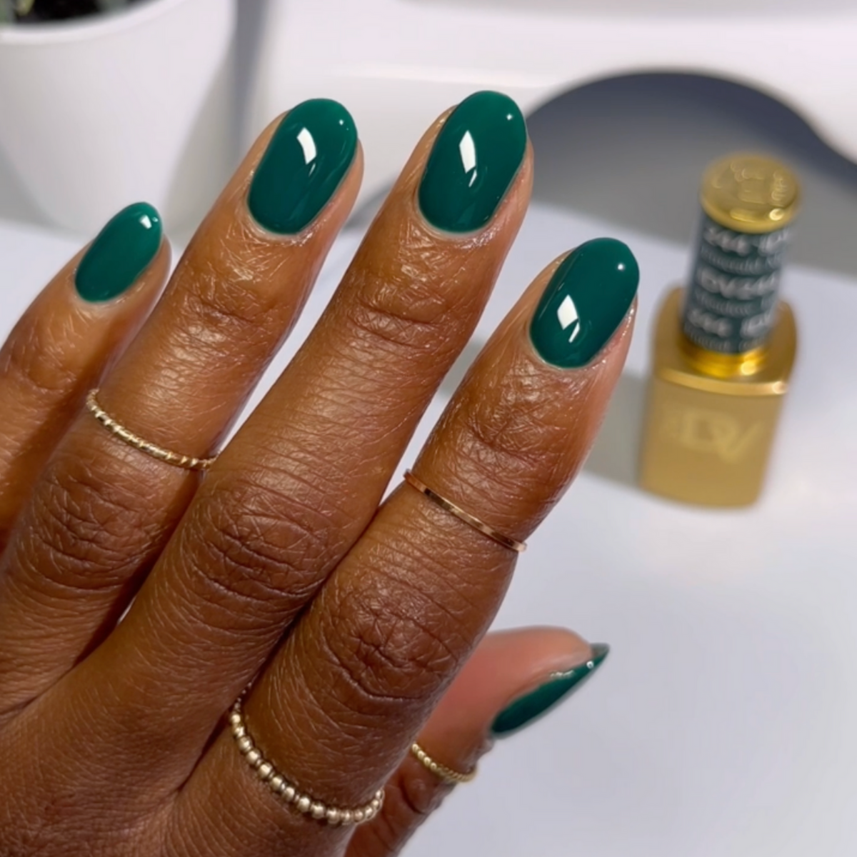 DIVA244 - Emerald Meadow DIVA - GEL POLISH & MATCHING LACQUER