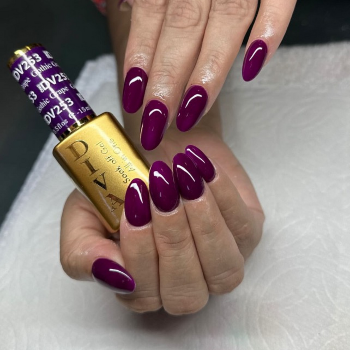 DIVA253 - Gothic Grape DIVA - GEL POLISH & MATCHING LACQUER