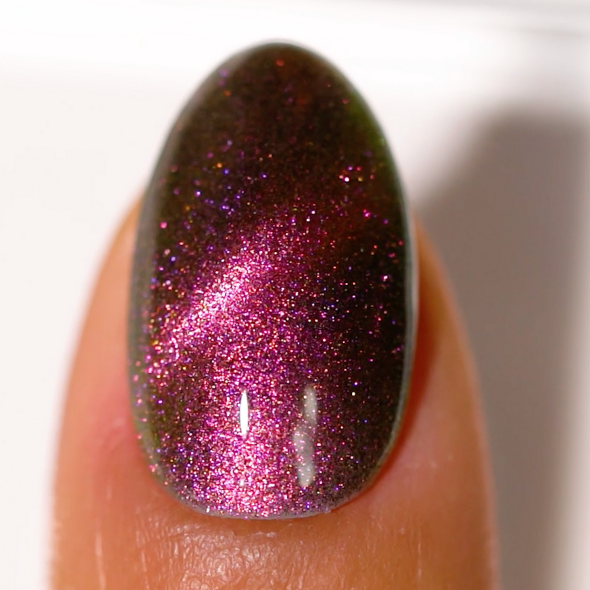 DND04 - 5D American Shorthair - DND Matching Gel & Nail Polish