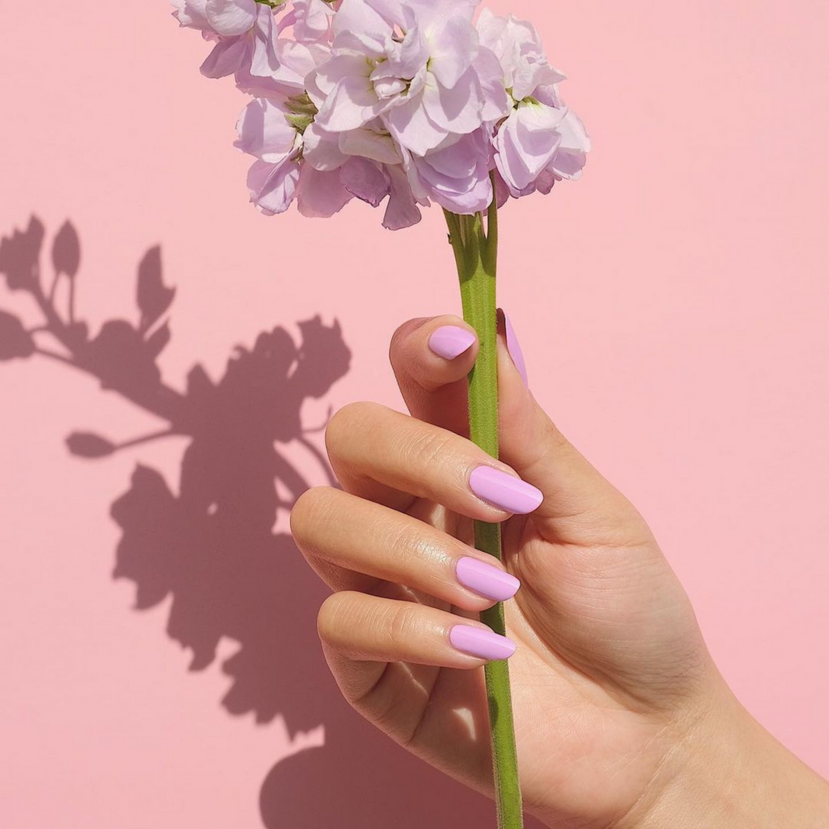 DND727 - Pixie - DND Matching Gel & Nail Polish