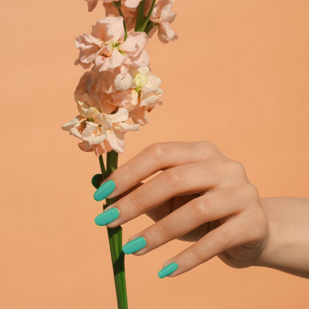 DND569 - Green Spring - DND Matching Gel & Nail Polish