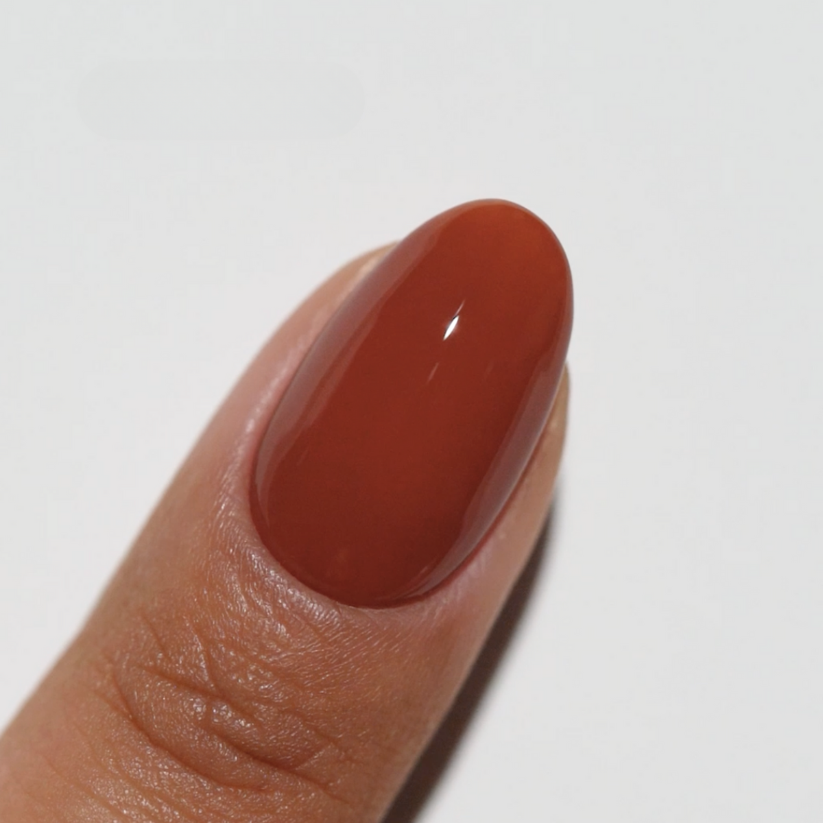 DIVA271 - Western Cedar DIVA - GEL POLISH & MATCHING LACQUER