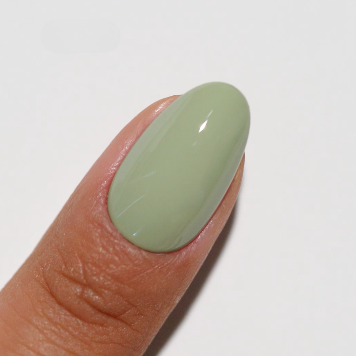 DIVA277 - Foggy Fern DIVA - GEL POLISH & MATCHING LACQUER