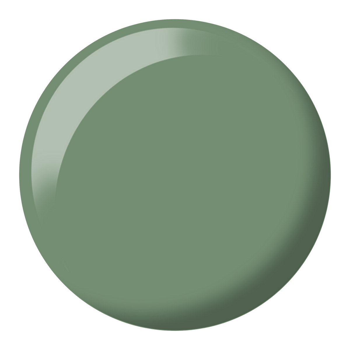 DIVA285 - Sage'd The Day DIVA - GEL POLISH & MATCHING LACQUER