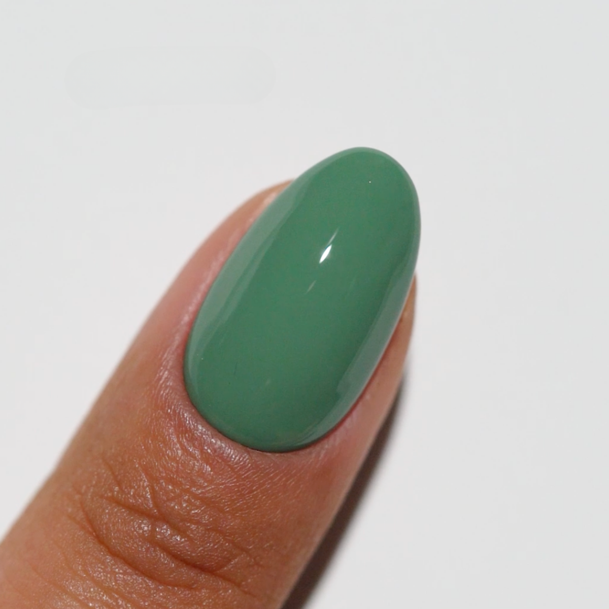 DIVA285 - Sage'd The Day DIVA - GEL POLISH & MATCHING LACQUER