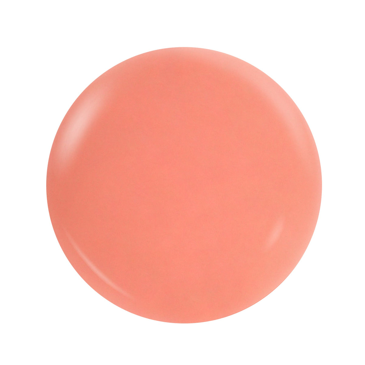 Notpolish - DUO M111 - PUMSKIN SPICE
