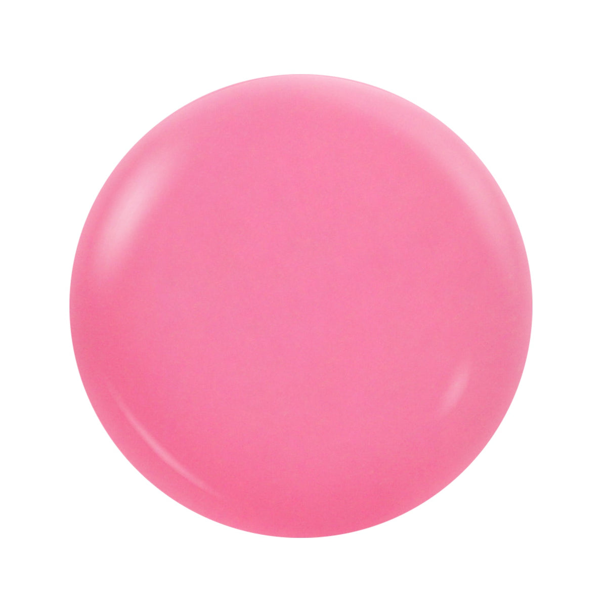 Notpolish - POW-2M-19 - FIESTA SISTA