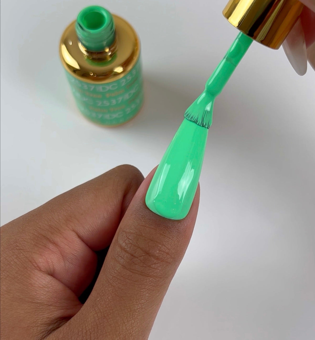 DC2537 - Palm Tree - GEL POLISH & MATCHING LACQUER