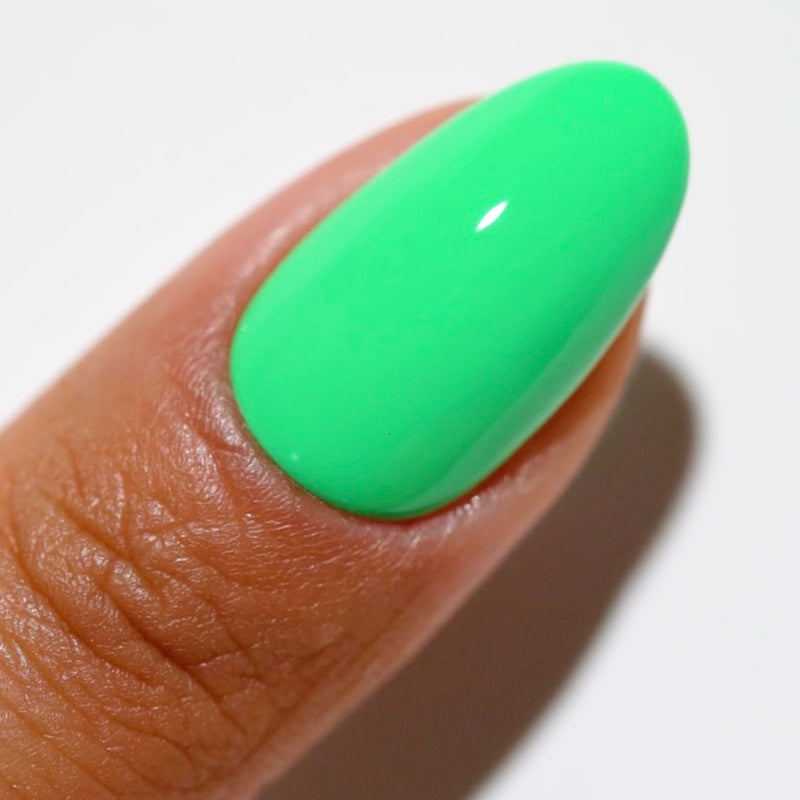 DC2537 - Palm Tree - GEL POLISH & MATCHING LACQUER